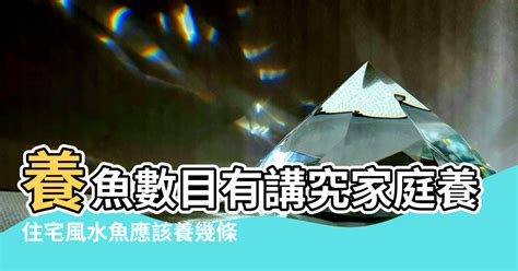 魚要養幾條|養風水魚數量攻略：命格五行對應養魚條數 